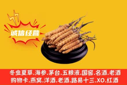 乌海回收冬虫夏草